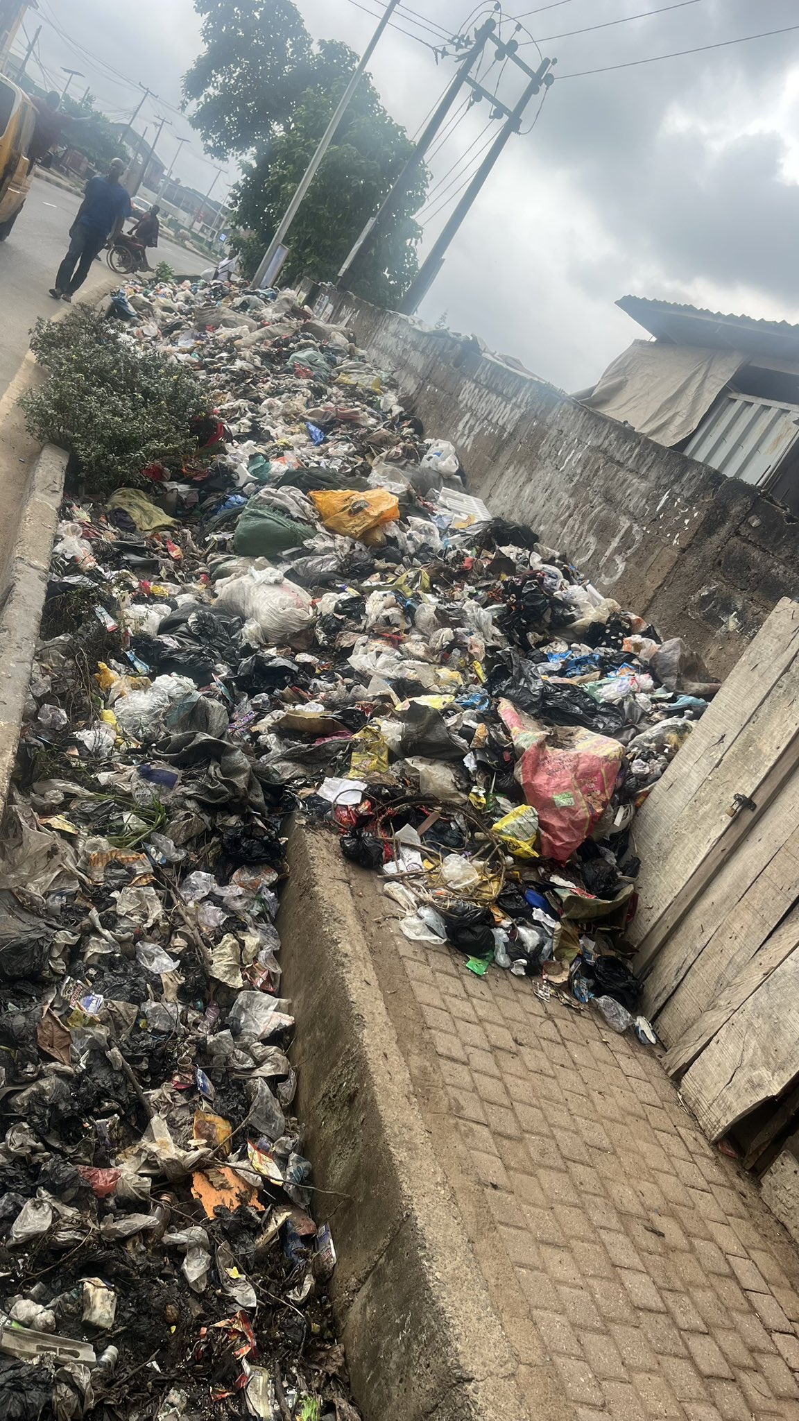 Roadside dumping in Ponle, Lagos state. | Source: Oluwanifise13 via X
