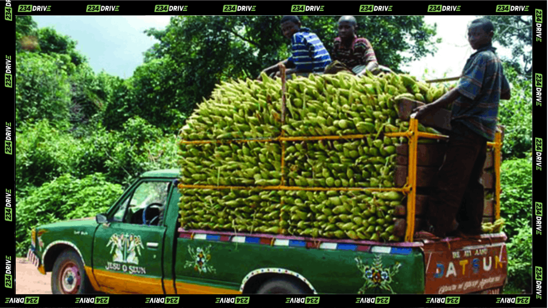 Farmers ride with a truck packed with green produce, illustrating the rural transport and preservation challenges AkoFresh addresses through cold-chain logistics for smallholder farmers in Ghana.