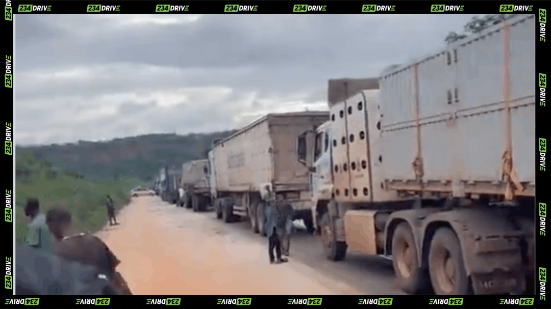 Trucks queue along the gridlocked Agbor–Benin Expressway as Works Minister David Umahi proposes an inspection following road complaints and a busload of dead catfish.
