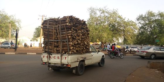 A classic white Peugeot 504 pickup truck heavily loaded with stacked firewood on a Nigerian road