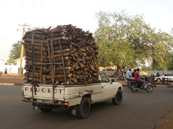 A classic white Peugeot 504 pickup truck heavily loaded with stacked firewood on a Nigerian road