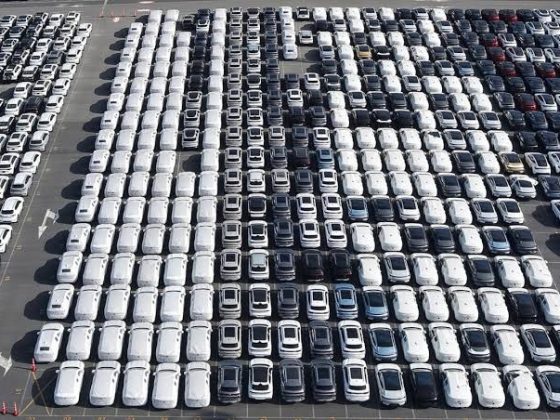 Rows of newly built Chinese electric vehicles parked at a port lot awaiting export